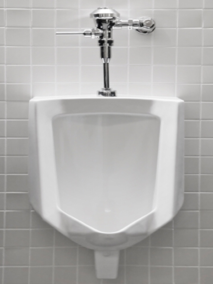 Saddle Ridge, AB - Plumber needed for urinal unclog Saddle Ridge, AB - Plumber needed for urinal unclog