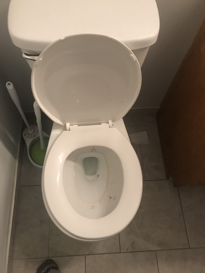 Saddle Ridge, AB - Plumber required plug toilet cleared Saddle Ridge, AB - Plumber required plug toilet cleared