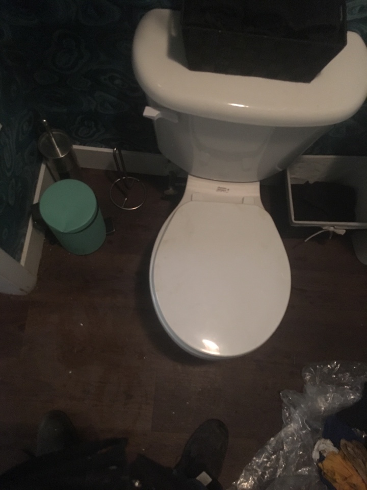 Saddle Ridge, AB - Plumber needed for toilet backing up Saddle Ridge, AB - Plumber needed for toilet backing up